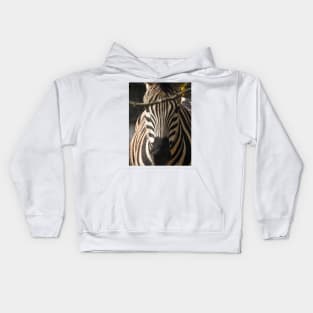 Zebra Kids Hoodie